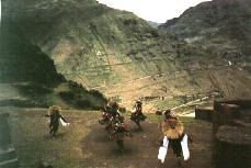 prensentaciones de danzas en Pisac